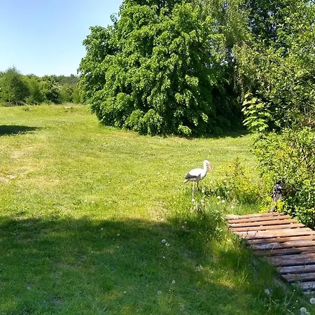 Nad Stawami - Warmia Campsite *